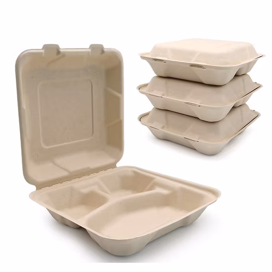 100 % umweltfreundliches, biologisch abbaubares Geschirr, kompostierbare Zuckerrohr-Bagasse-Brotdose zum Mitnehmen, Bento-Einweg-Lebensmittelverpackung, Muschel-Lebensmittelbehälter