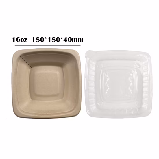 180*180*54mm 24oz quadratische Schüssel mit Haustierdeckel kompostierbare, umweltfreundliche Einwegschüsseln aus Zuckerrohr-Bagasse-Zellstoff