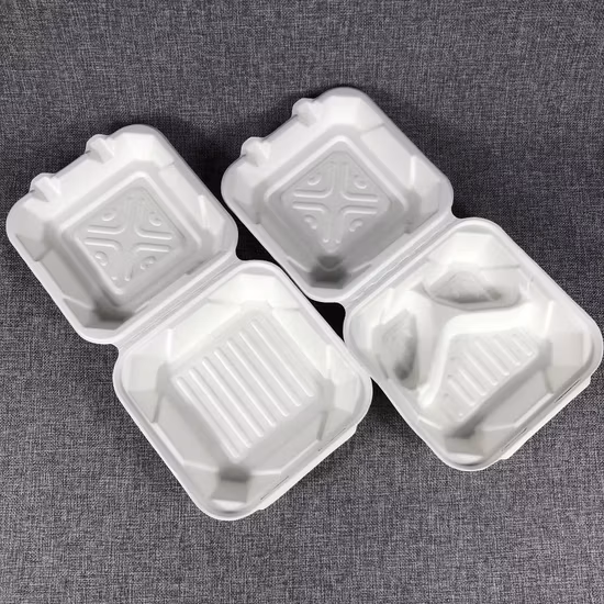 Einweg-Lunchbox aus Papier, biologisch abbaubare Zuckerrohr-Bagasse-Clamshell-Burger-Boxen zum Mitnehmen